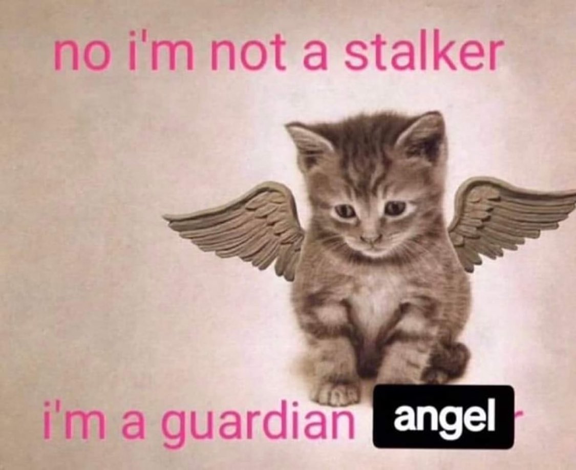 Punch Cat (@punchingcat) on Twitter photo 