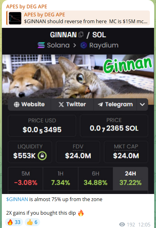 🦧Mr. APE aka GEM Hunter💎 tweet media