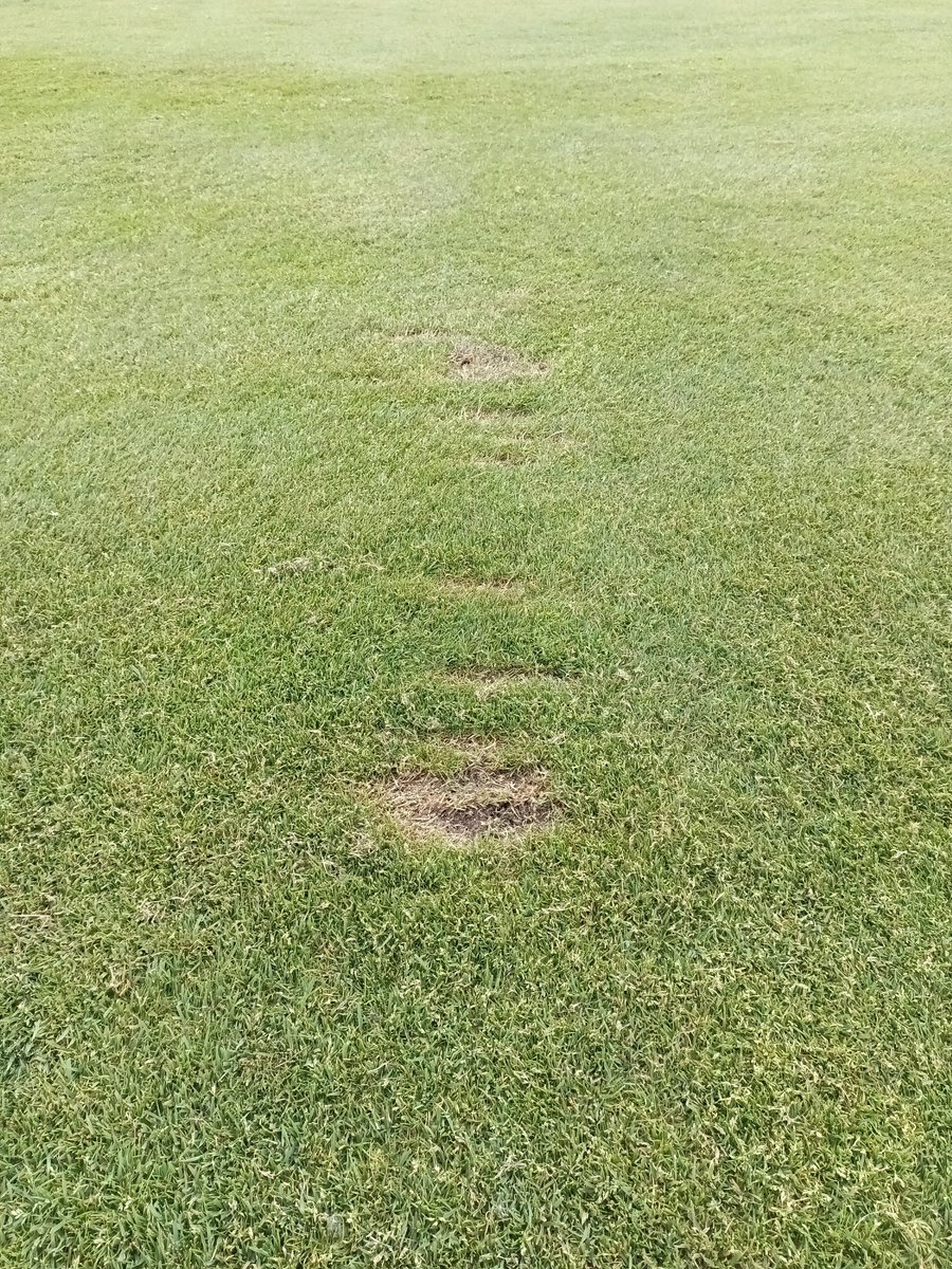 oleyoleyoleyole's tweet image. Use a "team mulligan" in a scramble? 
Sure!

Fix 8 divots? 
Nah. 

😡