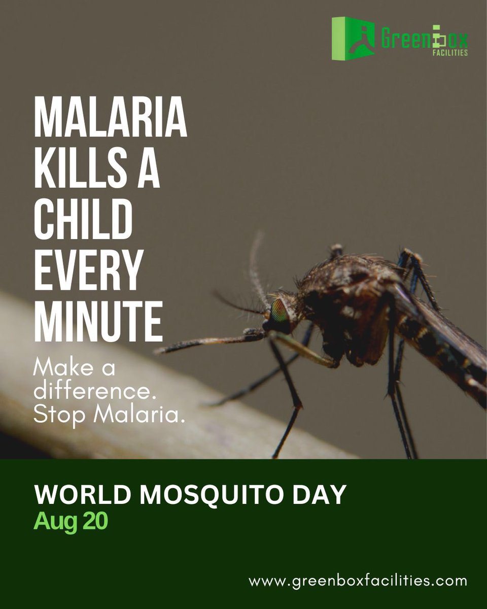 Greenbox_ltd's tweet photo. Join us in commemorating World Mosquito Day by:

Spreading awareness about mosquito-borne illnesses. Eliminating breeding sites around our communities.
Supporting initiatives that fight against these diseases

Together, we can make a difference. https://t.co/vYJivqQ47W