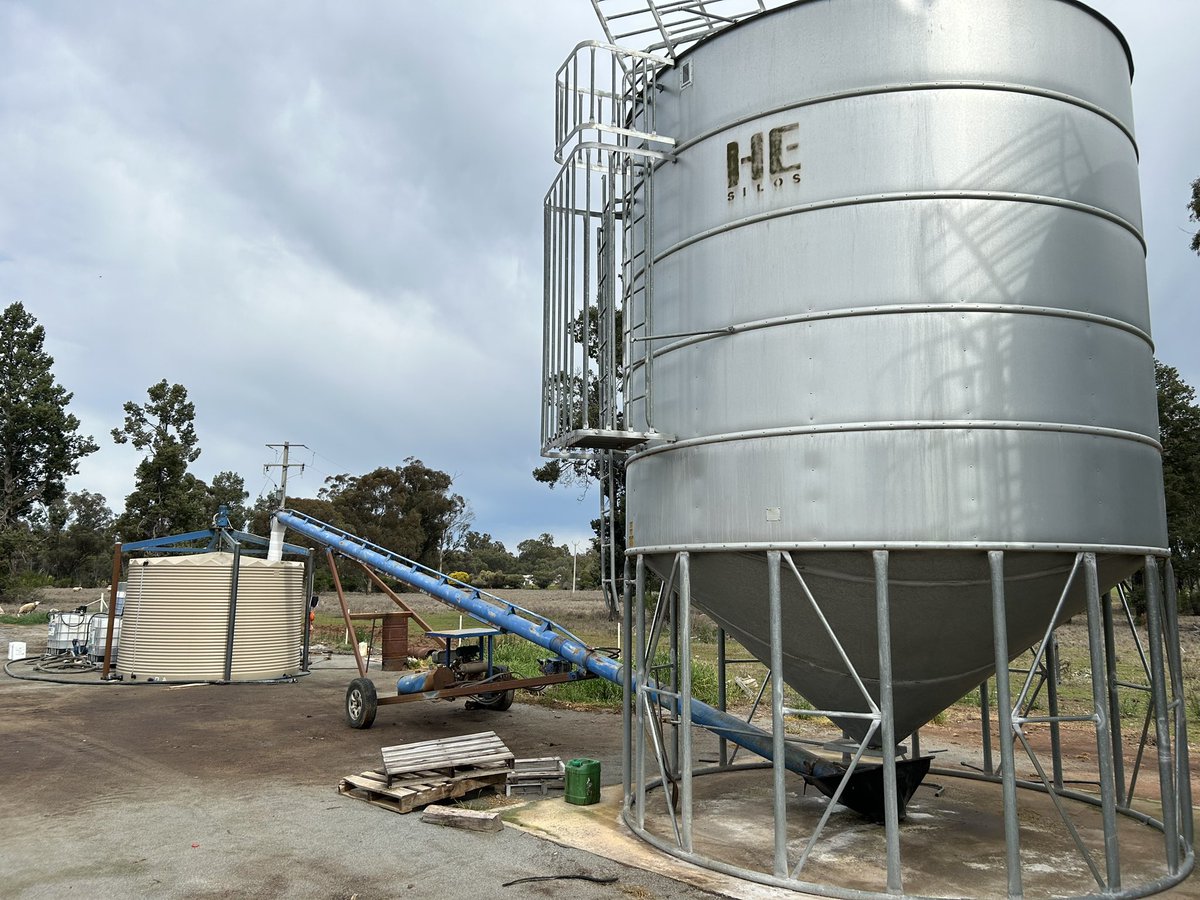 Scott Hamblin 🌾🐑 tweet media