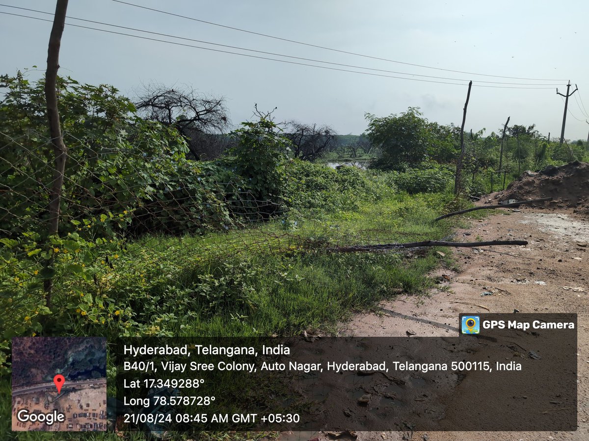 Dha3r_Ngo's tweet photo. What's the purpose of this temporary fence?
#MahavirHarinaVanasthaliNationalPark @TSFDCL
@CentralIfs
@rameshpandeyifs @rohithgopidi
@pargaien @ParveenKaswan @byadavbjp @moefcc @dobriyalrm
#SaveVanasthali #SaveDeers
#ChemicalLake #SaveForest https://t.co/nBzhJrYy33