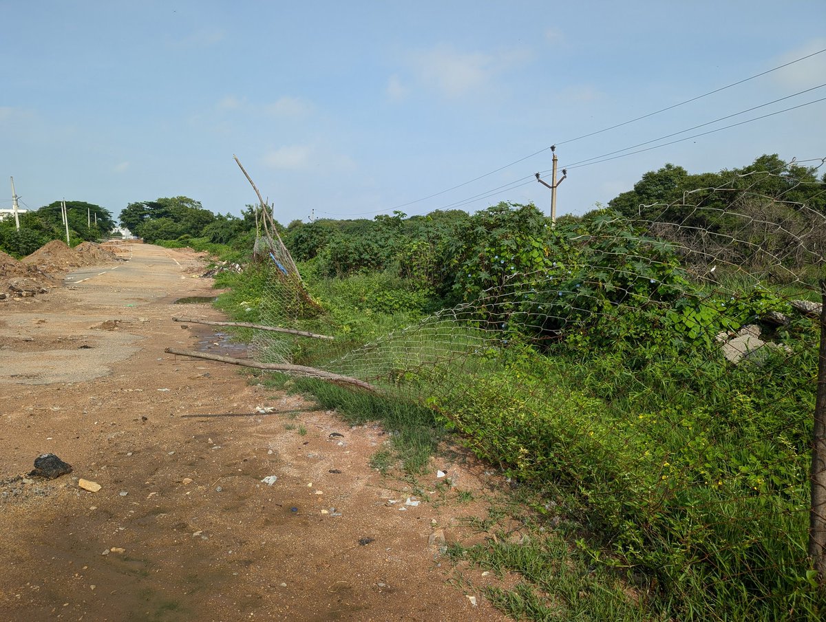 Dha3r_Ngo's tweet photo. What's the purpose of this temporary fence?
#MahavirHarinaVanasthaliNationalPark @TSFDCL
@CentralIfs
@rameshpandeyifs @rohithgopidi
@pargaien @ParveenKaswan @byadavbjp @moefcc @dobriyalrm
#SaveVanasthali #SaveDeers
#ChemicalLake #SaveForest https://t.co/nBzhJrYy33
