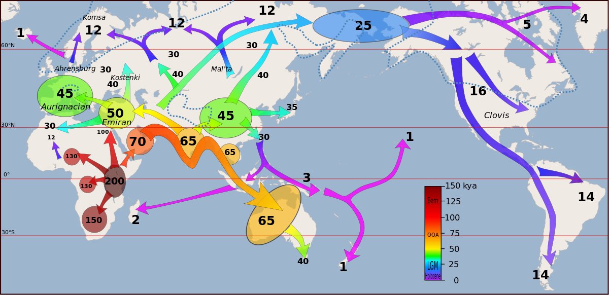 Humans arrived in Hawaii and New Zealand at about the same time they arrived in Iceland.
