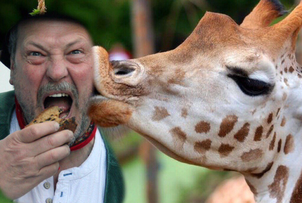 shrewsmorris's tweet photo. Good Morning all……proof that you can actually have your cake and eat it……#morriszootime Loving you all xxxxx🩷🪗💃🕺 https://t.co/zecvAqnGig