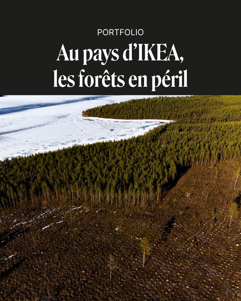 L’image environnementale plutôt reluisante de la Suède cache l’irréparable destruction de ses forêts. C'est ce que démontre la photographe française Mélanie Wenger qui documente avec la journaliste <a href="/Katharinya/">Katharina Finke</a> les coupes à blanc qui balafrent le royaume ➡️ buff.ly/4fyInSU