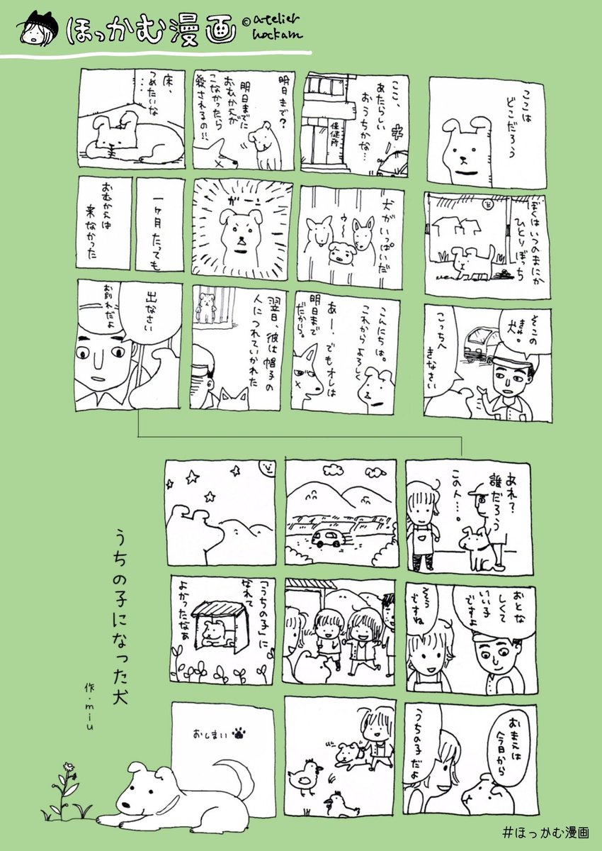 うちの子になった犬の話
そいつは隣町を1匹でさまよっていたらしい。
捕獲されM市の保健所に収容されていたところ、殺処分を目前に迎えに行ったのは養鶏を営むJ子さん(私の母)。
「迷い犬」は「番犬」に転身、鶏舎に居を構える。