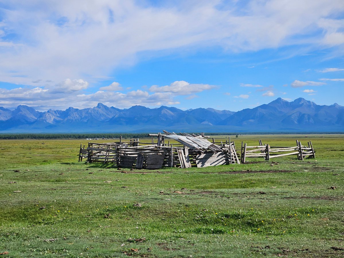 torfiak's tweet photo. Przy jurcie. Dzień dobry 🙃👋
#Mongolia #jurta #step https://t.co/0hwlZHxxqa