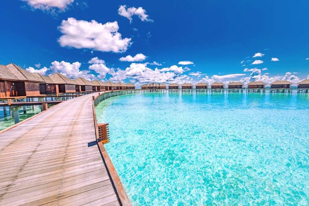 TAGTravel_Za's tweet photo. It's even more beautiful than the pictures - go see and experience.
quote@hashtagholidays.co.za
+27117595100

#escape #getaway #luxurytravel #maldives #paradisefound #ultimateislanddestination #bucketlisttravels #hashtagholidays #wishlistwednesday #readyyet #letsgothere https://t.co/mPAe37M7Hm
