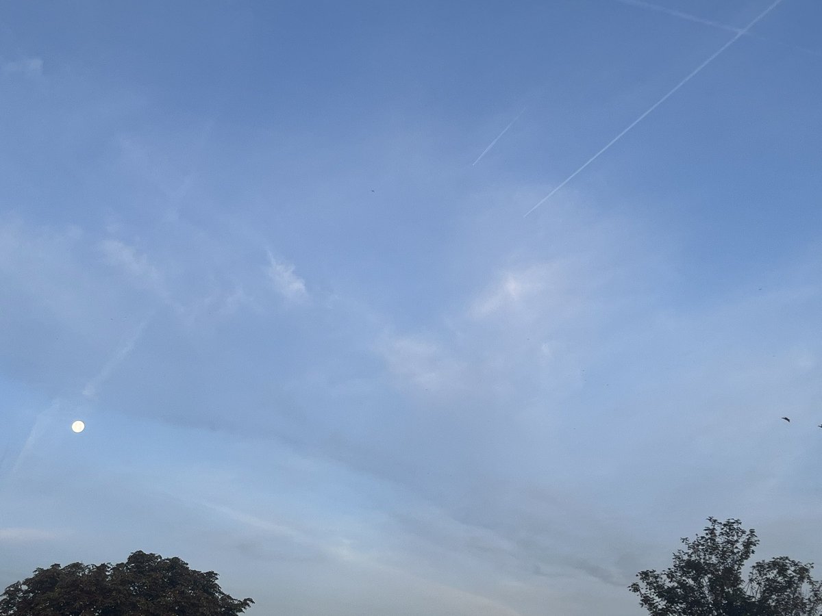 Pierre Mawas tweet media