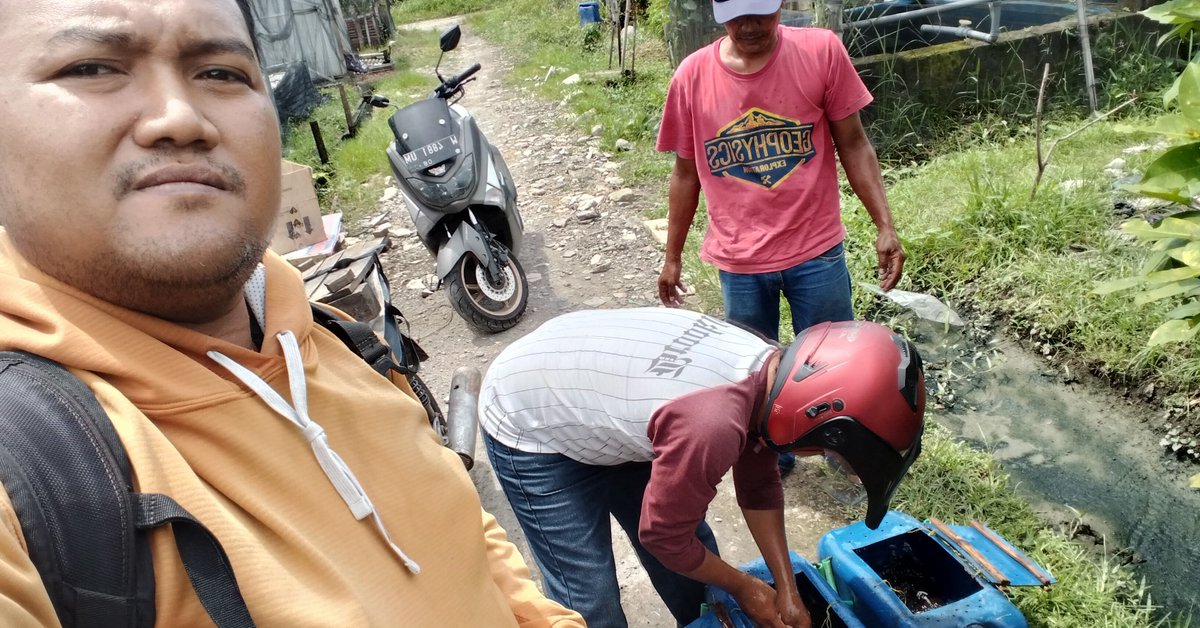 SyamDidien's tweet photo. Senin(05/8), Didien Wahyudin Syam, Luhkan Sidoarjo, Pokdakan Makmur Bersama, Ds. Sedenganmijen, mendampingi jual indukan lele, sebanyak 1 Paket 5 Ekor Betina 10 Ekor Jantan Rp. 950.000 #GiatLuhkanSatminkalBWI #Sidoarjo #panen https://t.co/FWZHp8P2SA