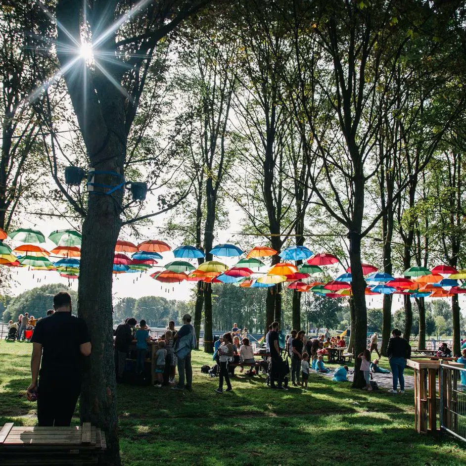 Peter Both tweet media