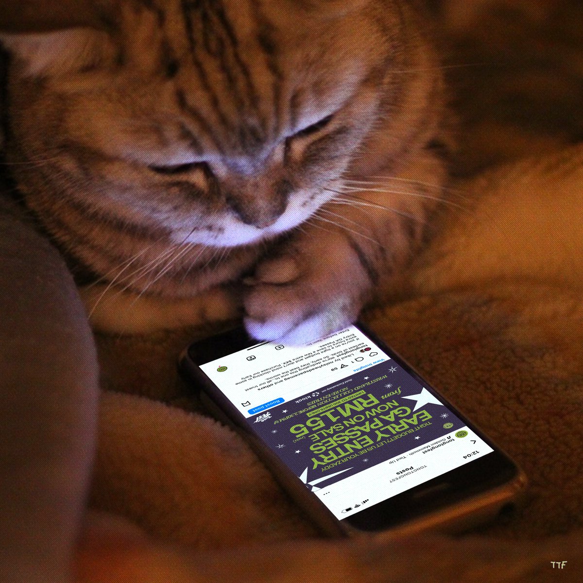 tongtongfest's tweet image. We’re dedicating this one to…all our truest earliest of birds 🕊️So early, they beat the worms🪱

If you’re on a tight budget and don’t mind clocking ⏰ in some extra hours to save a few extra 💵💷💶💴 Purchase our Early Entry GA Passes.