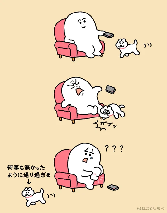 通りすがりに足を噛むねこ 