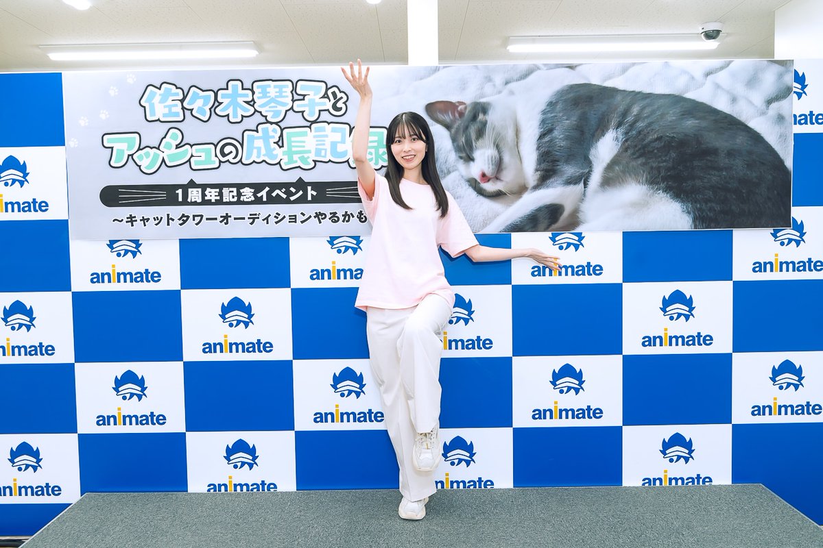 animatetimes's tweet photo. 「佐々木琴子とアッシュの成長記録」1周年記念イベントレポート

熾烈を極めたキャットタワーオーディションの様子をお届け！

終演後の独占インタビューでは、佐々木さんの意外なアルバイト経験が明らかに

#佐々木琴子 #ことことアッシュ #キャットタワーオーディション

https://t.co/xf7eRUdGSJ https://t.co/4tUddmMKyo