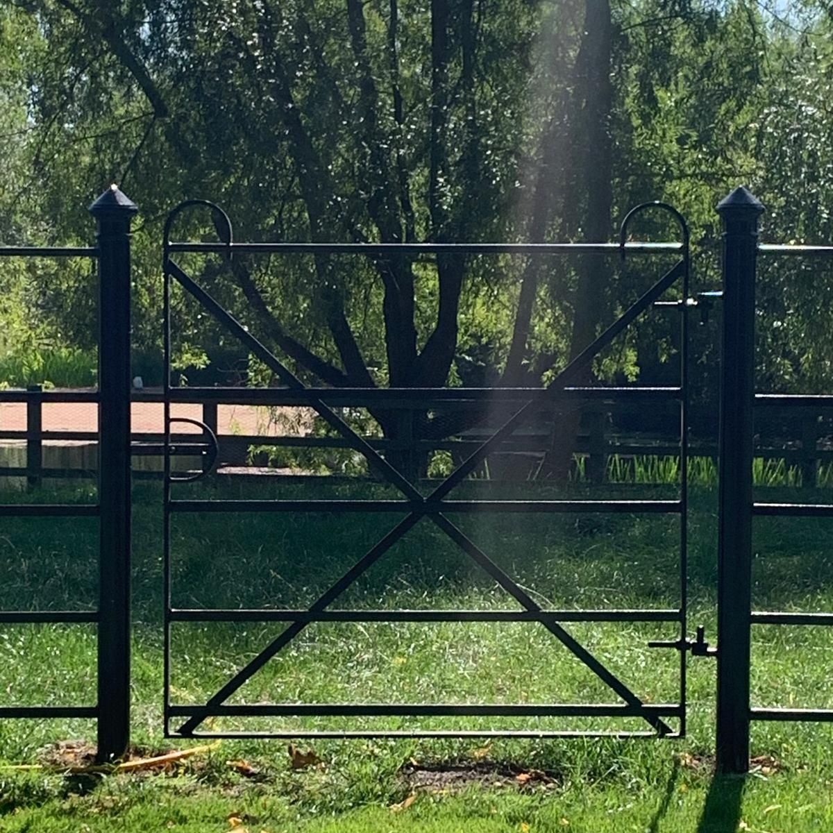 ttc_ironwork's tweet image. This gate was installed last week near Huntingdon. 
This is our Diamond gate finished with Rutland end posts. All of our metal gates are handmade in our workshop using quality materials and manufactured to exacting standards.
#gate
#metal
#diamondgate
#steelgate
#thetraditionalco
