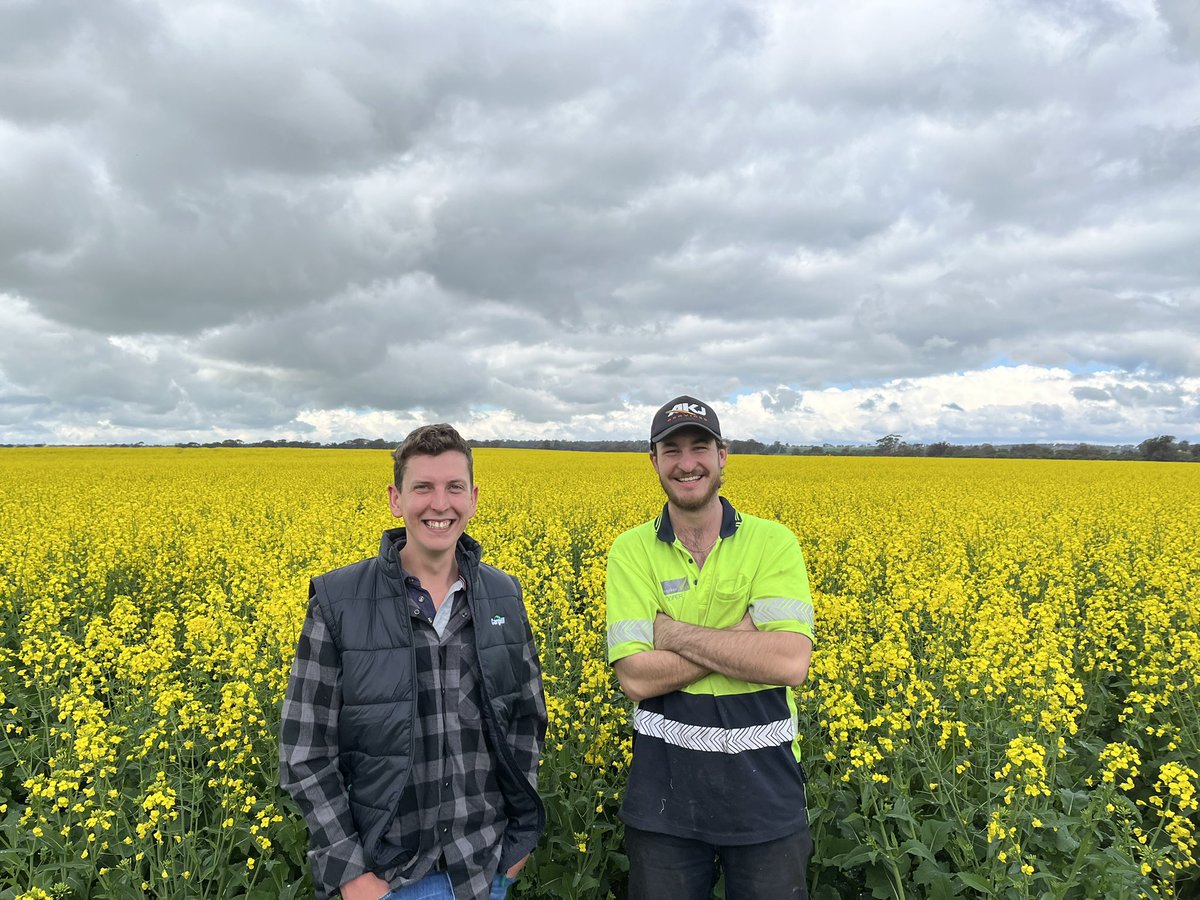 AgConnectWA tweet media