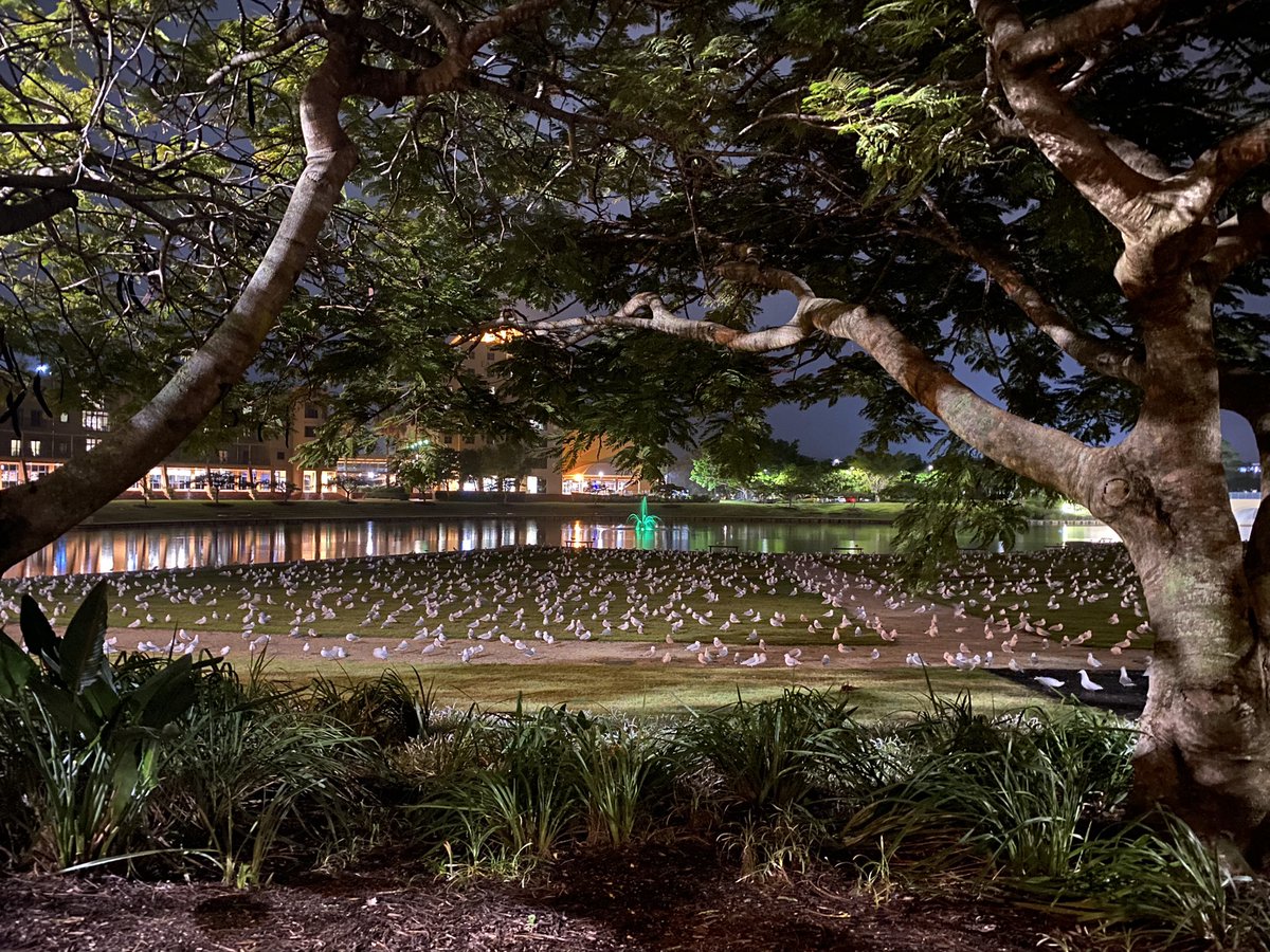 Gemma Perry 🕉️ tweet media