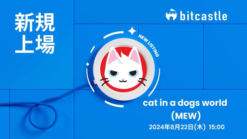🐈‍⬛📣(#bitcastle 🏰 🆕️情報)

🐱🌈 $MEW 📈 がbitcastleに上場🔥
🗓️上場日時 8/22 15:00 (JST)

😻🙌上場記念 #Giveaway 💝

💝🔟USDT✖1️⃣名様
🔸PayPayにも変更🆗️です

【応募】
🐈️Follow 
<a href="/MewsWorld/">Mew</a>
<a href="/bitcastle_JP/">bitcastle(ビットキャッスル) 日本 公式</a>
<a href="/5kavlFAyZi6BeyO/">ここいら・自称初心者以下なのだ!!EMD 🏳️‍🌈</a> 

🐈️❤&amp;RP 
😻🆙️リプか引用で #MEW 

⏰72H ⏰