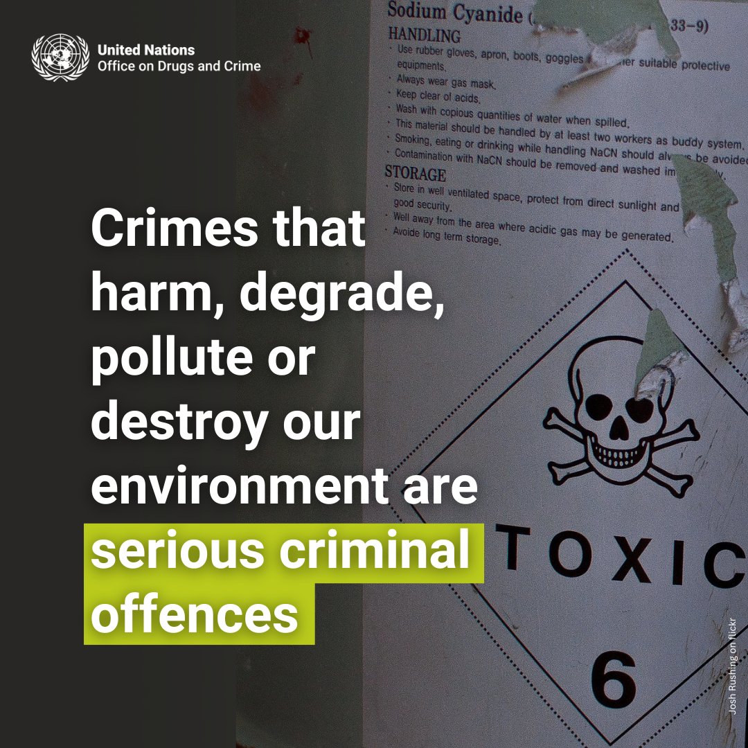 UNODC's tweet photo. Our environment is in crisis.

Protecting the planet means criminalizing harmful acts against it.

Discover how strong laws and higher penalties help deter offenders and bolster law enforcement: https://t.co/uHgI7vKHvq 

#endENVcrime https://t.co/VXox69onFr