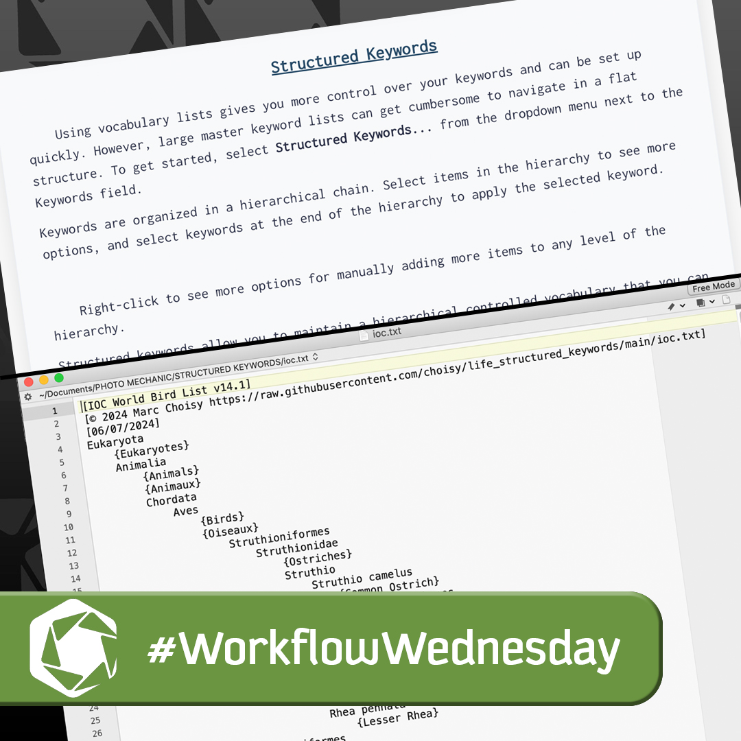 Learn how to load a Structured Keywords file in Photo Mechanic in today's #WorkflowWednesday tip. Link in bio.