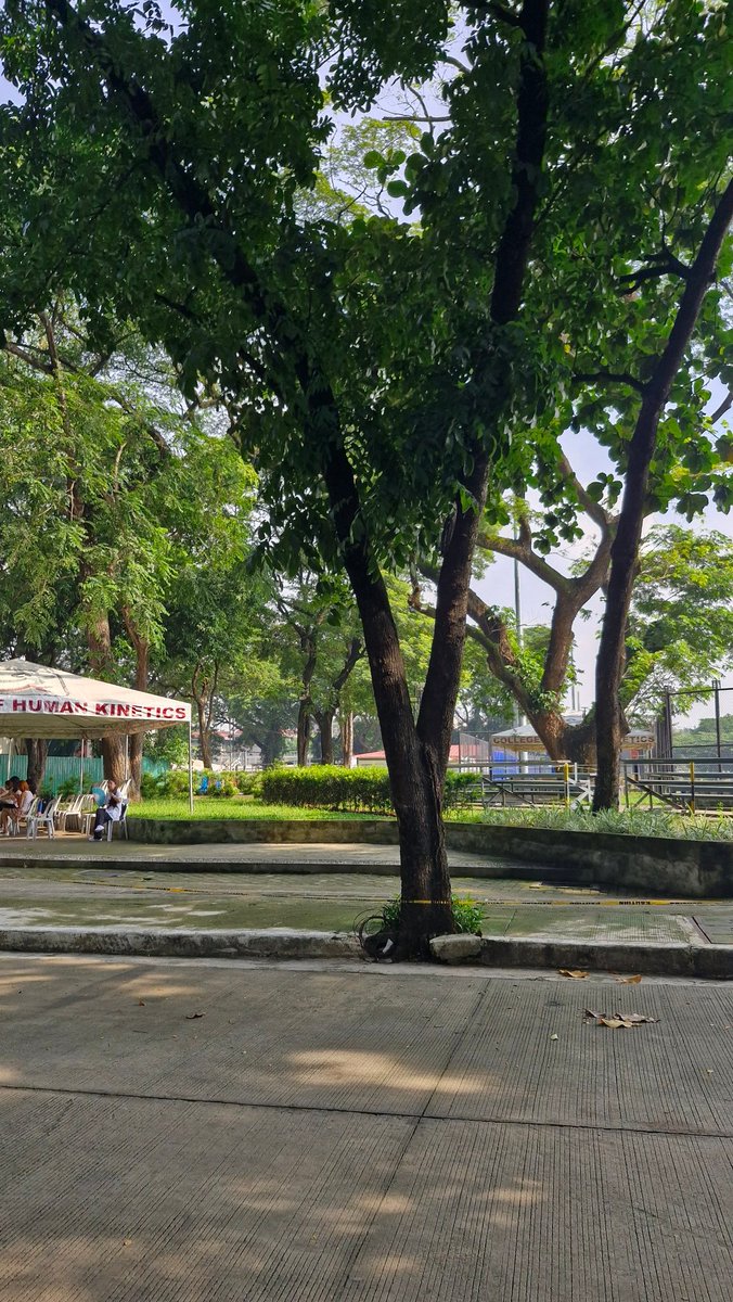 solreqs's tweet image. second day with four hours of chem and my first pe class