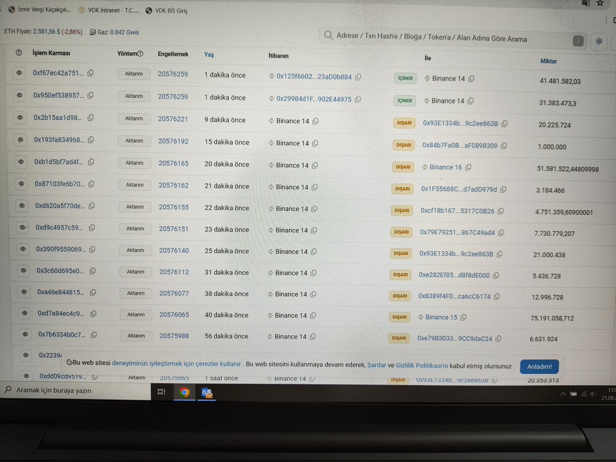Crypto Rally $HOT #HOLOCHAIN tweet media