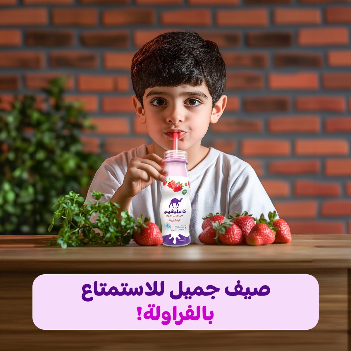 Camelicious tweet media