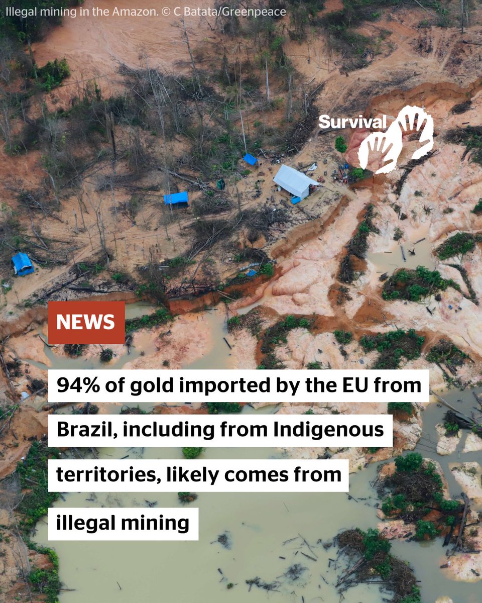 Survival's tweet photo. A new study by Instituto Escolhas has revealed shocking data about the origins of Brazilian gold. The study shows that 94% of the gold exported to European Union countries is highly likely to have been illegally mined. https://t.co/CBsHTKy8pp