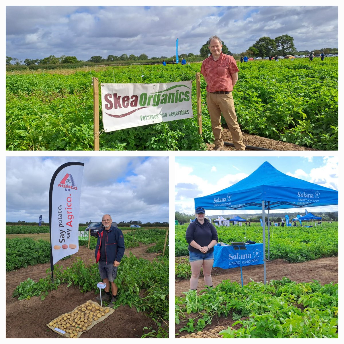 Megan Edmonds (@edmondsmeg) on Twitter photo 1/4 Interested in learning about varietal resistance? Then head over to the Breeder plots and check out what cultivars are on display from <a href="/MeijerSeed/">Meijer Potato UK</a> <a href="/IPMPotatoGroup/">IPM Potato Group Ltd</a> <a href="/HZPC/">HZPC Potatoes</a> <a href="/SolanaUK/">Solana Seeds UK</a> <a href="/Agrico_UK/">AgricoUK</a> <a href="/SkeaOrganics/">Skea Organics</a> <a href="/BangorUni/">Bangor University</a> #EurofinsPotatoOpenDay2024 1/4 Interested in learning about varietal resistance? Then head over to the Breeder plots and check out what cultivars are on display from <a href="/MeijerSeed/">Meijer Potato UK</a> <a href="/IPMPotatoGroup/">IPM Potato Group Ltd</a> <a href="/HZPC/">HZPC Potatoes</a> <a href="/SolanaUK/">Solana Seeds UK</a> <a href="/Agrico_UK/">AgricoUK</a> <a href="/SkeaOrganics/">Skea Organics</a> <a href="/BangorUni/">Bangor University</a> #EurofinsPotatoOpenDay2024
