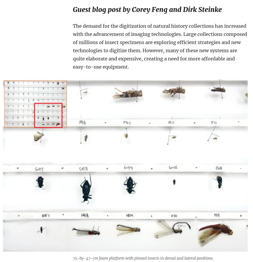 Pensoft (@pensoft) on Twitter photo 🆕Using a new imaging rig, <a href="/CBG_UofG/">Centre for Biodiversity Genomics (CBG)</a> made 190,000 images in an year.
🗨️"Digital image for every #specimen is an essential part of the #DNAbarcoding workflow at <a href="/CBG_UofG/">Centre for Biodiversity Genomics (CBG)</a>", reminds the <a href="/uofg/">University of Guelph</a> team.
➡️Guest blog post:
blog.pensoft.net/2024/07/16/low…
🔓Research paper in <a href="/ZooKeys_Journal/">ZooKeys</a>. 🆕Using a new imaging rig, <a href="/CBG_UofG/">Centre for Biodiversity Genomics (CBG)</a> made 190,000 images in an year.
🗨️"Digital image for every #specimen is an essential part of the #DNAbarcoding workflow at <a href="/CBG_UofG/">Centre for Biodiversity Genomics (CBG)</a>", reminds the <a href="/uofg/">University of Guelph</a> team.
➡️Guest blog post:
blog.pensoft.net/2024/07/16/low…
🔓Research paper in <a href="/ZooKeys_Journal/">ZooKeys</a>.