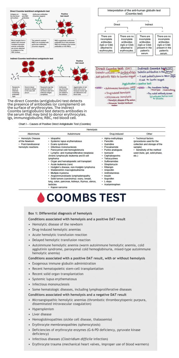 🌟 COOMBS TEST