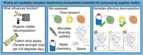 Our new article: “Drivers of spatio-temporal variation in organic matter decomposition across a river network” is out now! #eDNA #CottonStrips #ecosystem 
sciencedirect.com/science/articl…