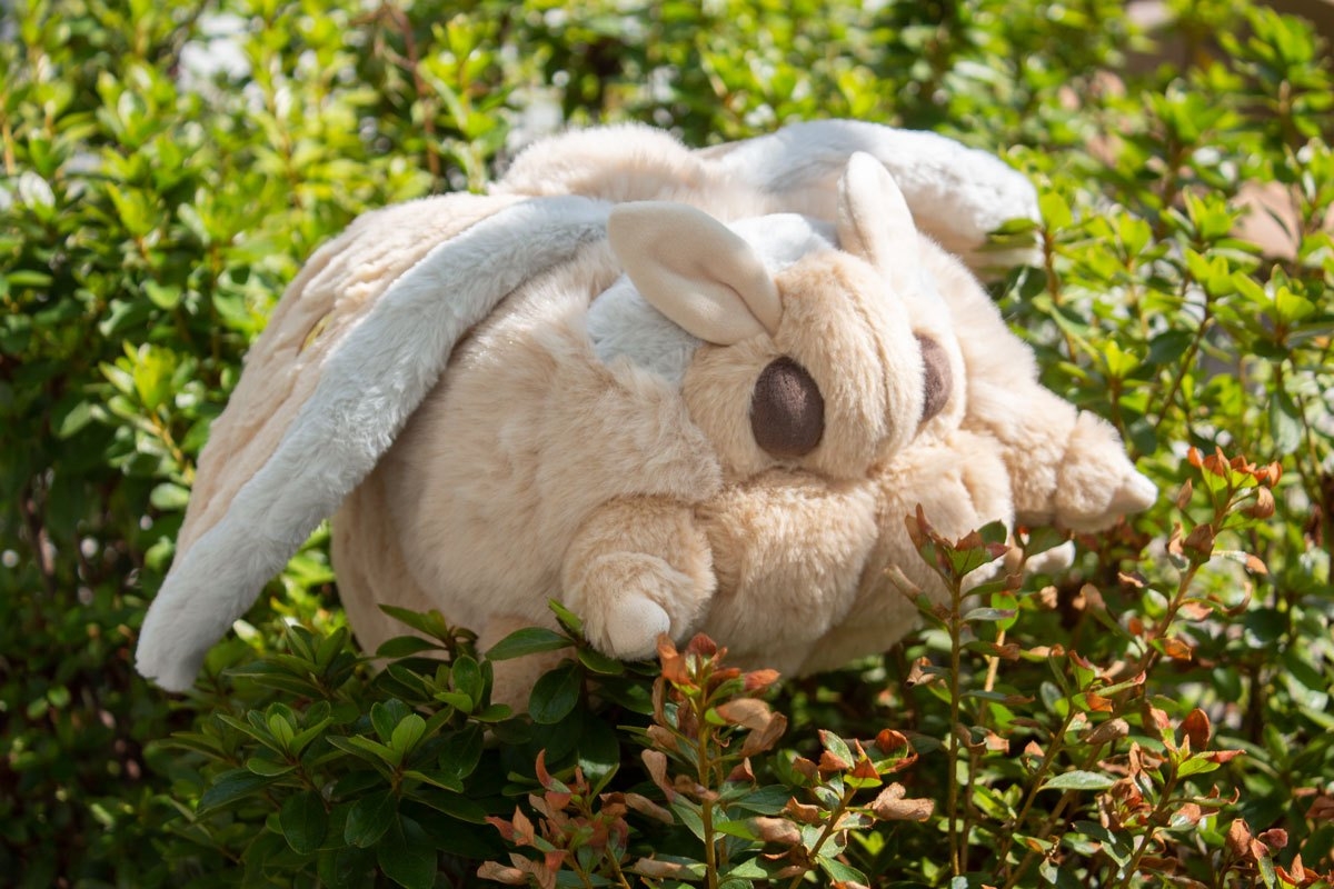 植え込みにダイブするモス