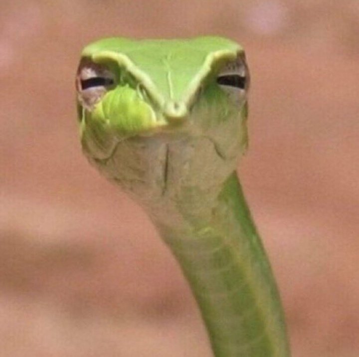 Yo vigilando desde el agua mis cosas con mi miopía y astigmatismo sin saber diferenciar mi sombrilla de la del resto de personas: