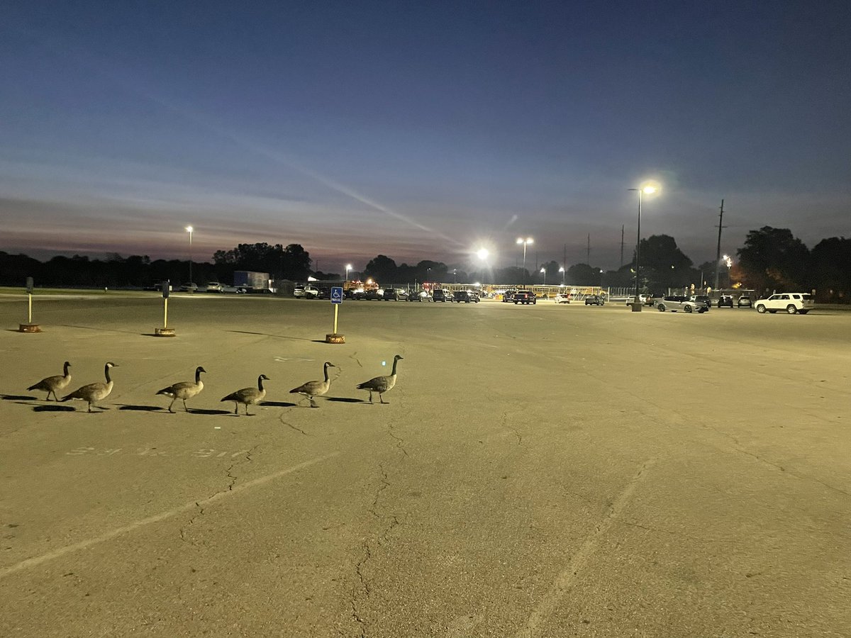 Ready for school at the 5100! #wildcatway #hcsd1