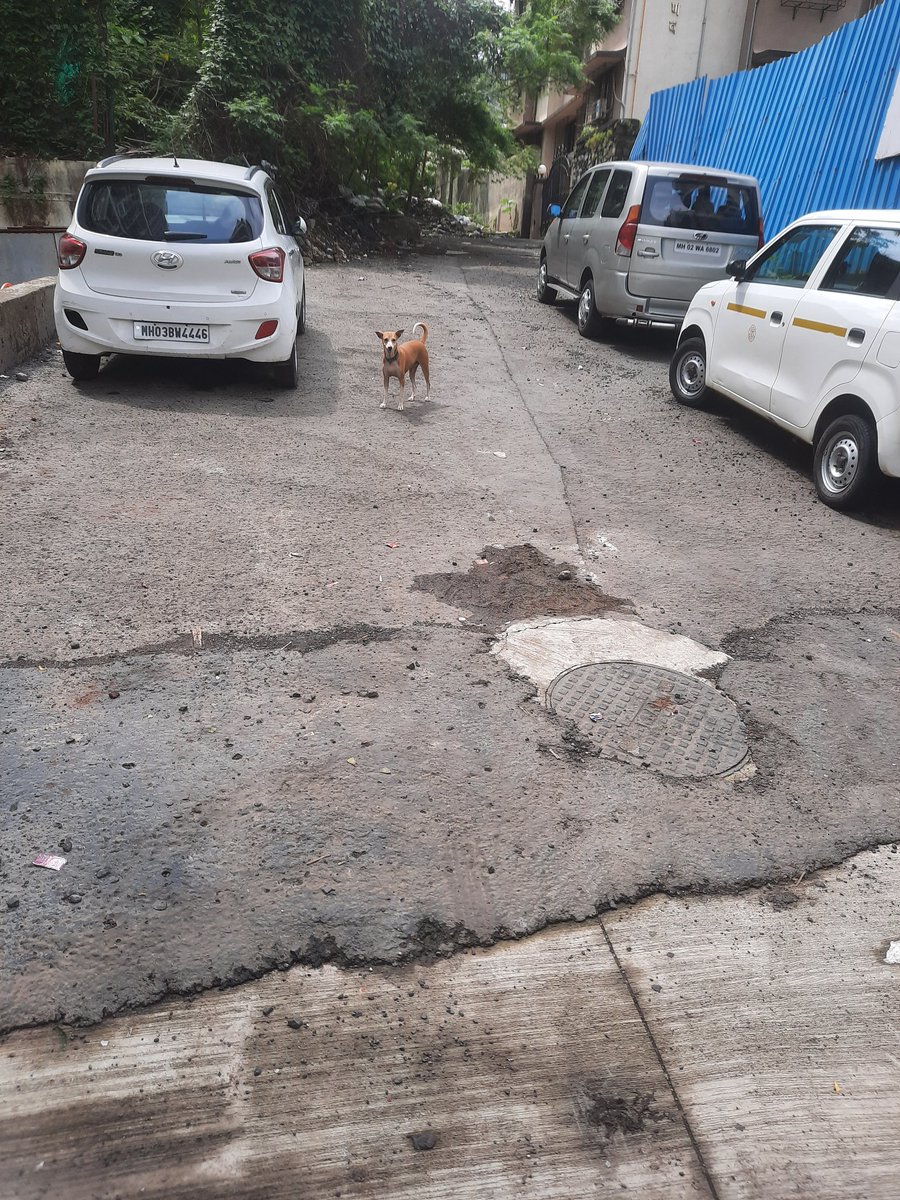 rautpradeep123's tweet photo. @BJP4Mumbai Ur Gadkarisab able 2build big highways, but @mybmcwardKW @mybmc couldn't build small patch of Rd from Cap.Samant Rd2 Pranav Society of Rajsarathi complex @AndheriLOCA @CitizensAndheri when it will be ready? https://t.co/5MvKW6Dd15