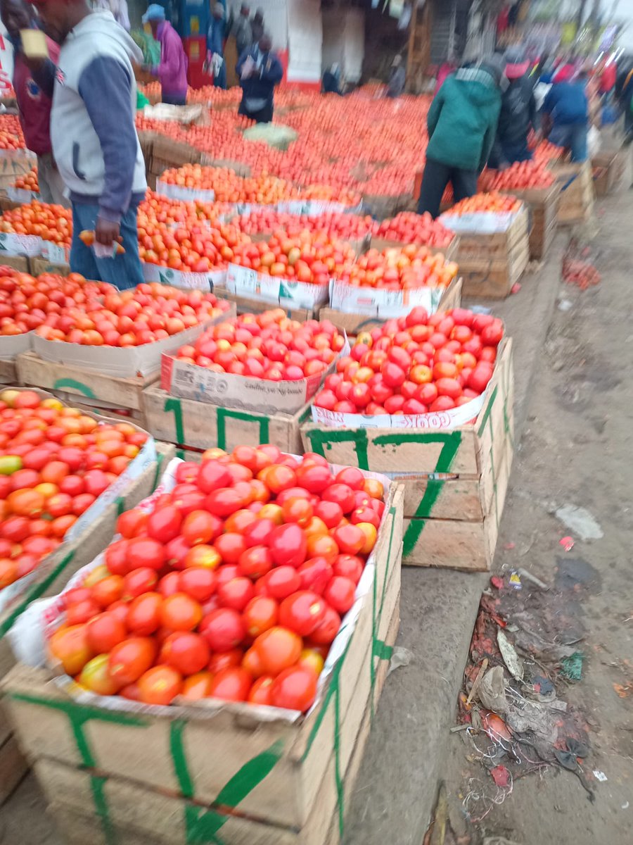 Mekatili_KE's tweet photo. Wa #Meru huku pia wasema soko limechafuka vi Noma. Kama kiongozi wako hafungui kiwanda cha tomato sauce na paste basi pigia #NdegwaNjiru na #Morara. Kachumbari sasa kwa wingi ukinunua mayai pasua ama mtush.
#KamalaHarris #GovernorKawiraMwangaza #KES196 https://t.co/AjaqqCTprf