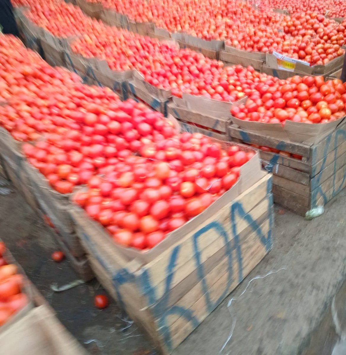 Mekatili_KE's tweet photo. Wa #Meru huku pia wasema soko limechafuka vi Noma. Kama kiongozi wako hafungui kiwanda cha tomato sauce na paste basi pigia #NdegwaNjiru na #Morara. Kachumbari sasa kwa wingi ukinunua mayai pasua ama mtush.
#KamalaHarris #GovernorKawiraMwangaza #KES196 https://t.co/AjaqqCTprf