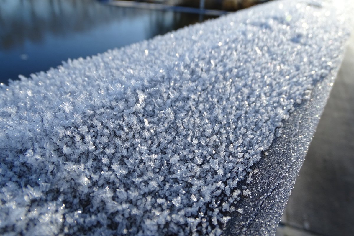 Marlies5015's tweet image. Dag 21 #beau_gustus #detail @dthta57 #ijs