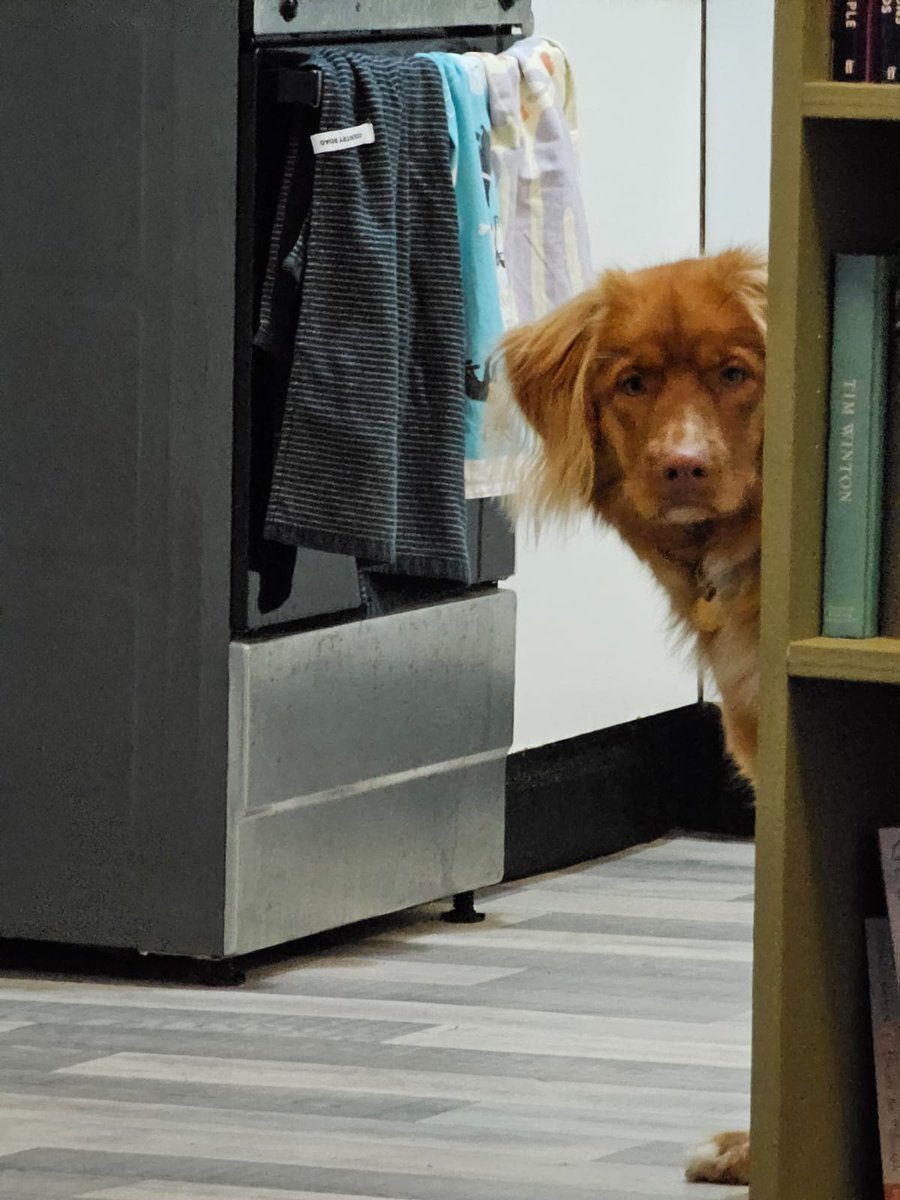 Luke Costin tweet media