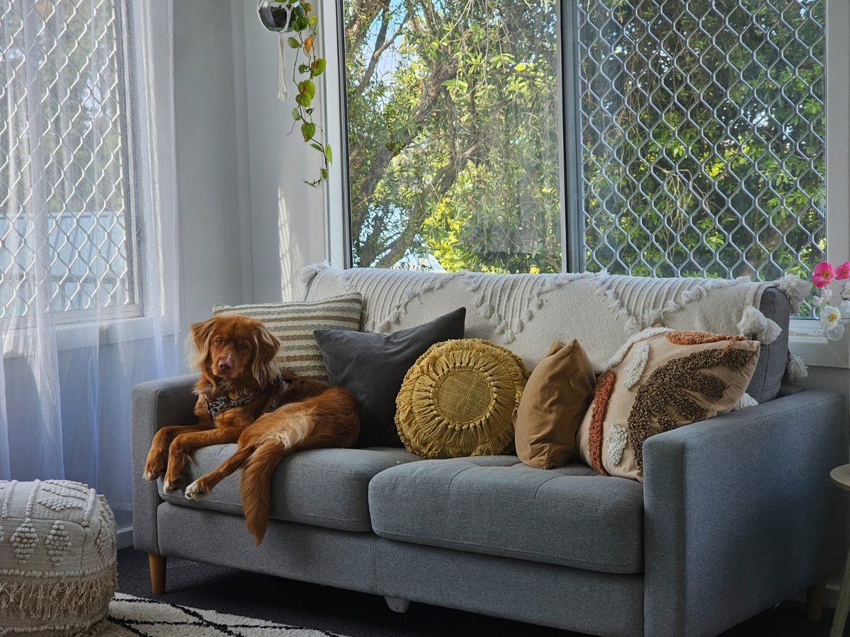 Luke Costin tweet media