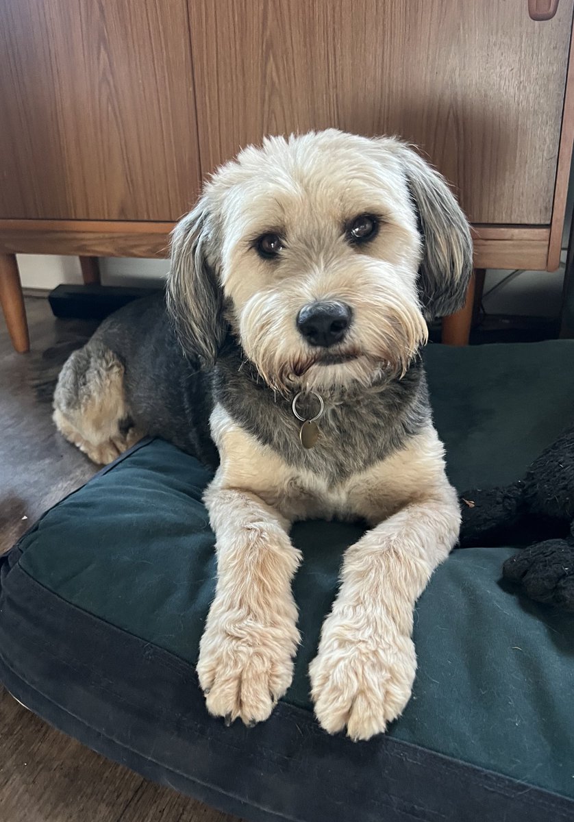 Alice Gray tweet media