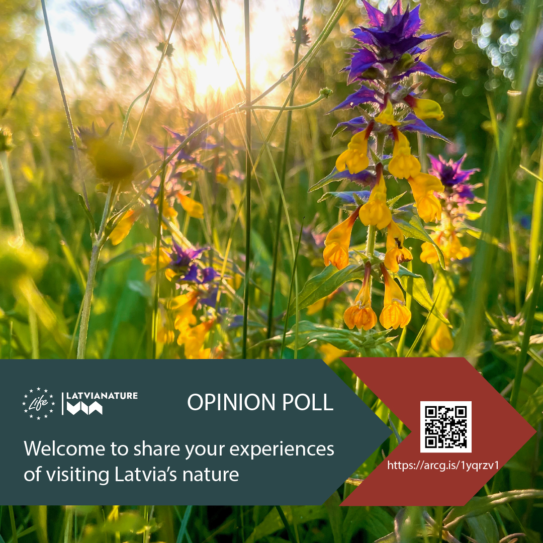 Dabas aizsardzības pārvalde un <a href="/VidzAugstskola/">Vidzemes Augstskola</a> veic ārvalstu tūristu aptauju par dabas daudzveidības saglabāšanu, atpūtu un ceļošanu dabā: arcg.is/1yqrzv1 
Lūdzam dalīties ar ārvalstu draugiem un kolēģiem, kas pēdējā gada laikā viesojušies Latvijas dabā!