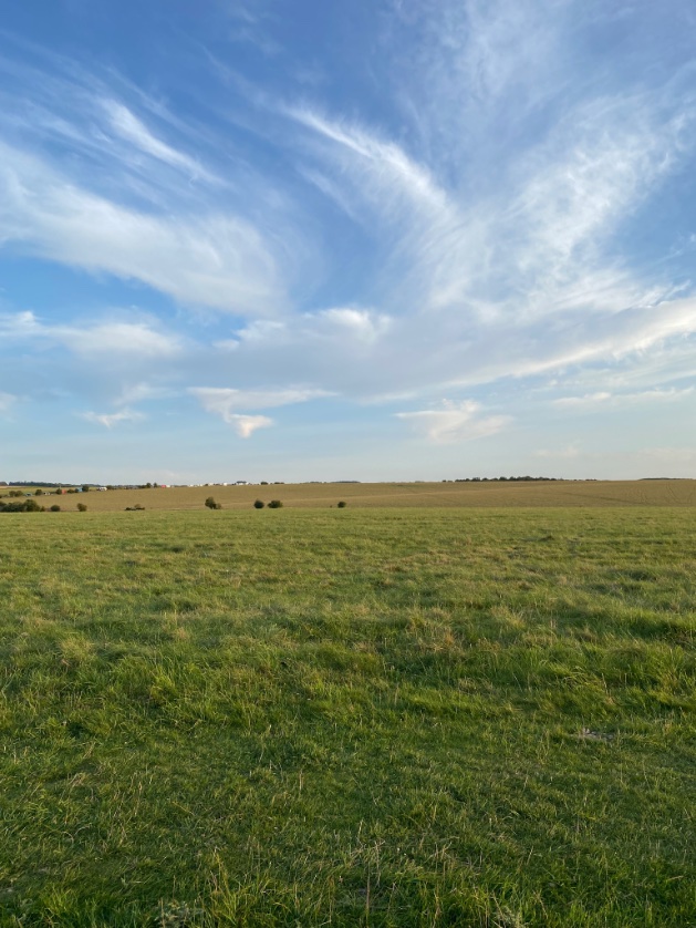 #Stonehenge has “big skies” - something really brought home to me since doing archaeoastronomy. Some of the sightlines (particularly the lunar ones) run for many miles across the Salisbury Plain, as we explain in our book. historicengland.org.uk/images-books/p…