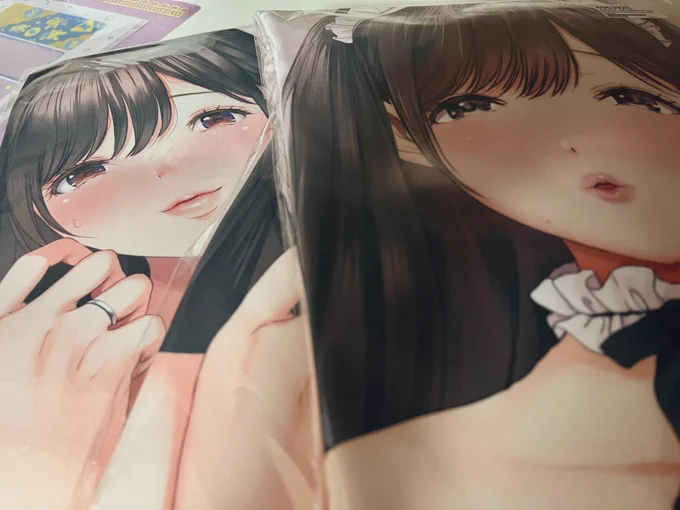 引越しの為大掃除してたら抱き枕カバー1と2で出てきたから冬コミに持って行くね 