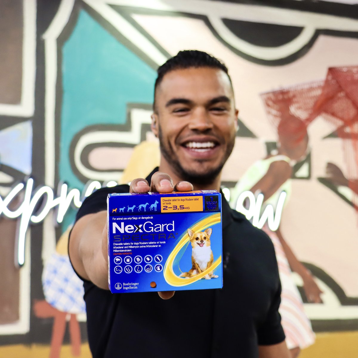 expressoshow's tweet image. WIN R2000 cash PLUS a surprise goodie for your furry friend courtesy of NexGard SA 🐶 Tell us how your dog loves to play and include #NexGard and #GuardiansOfLove in your answer. Comp closes 23 Aug. Ts&amp;amp;Cs: expressoshow.com/win-r2000-with… #ExpressoShow