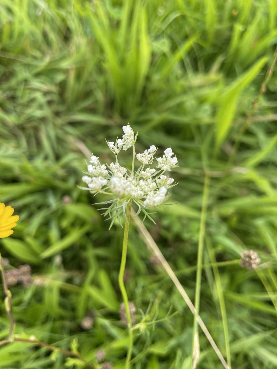 Food in Community tweet media