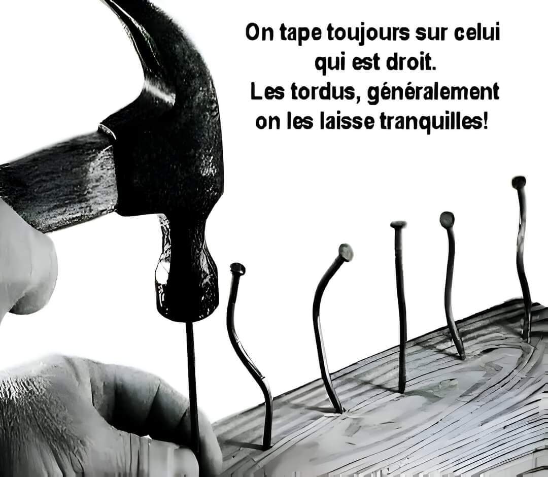 beillesse's tweet photo. @MikeEtLesPoilux @tatitatoun @RAF97483 @lafeevivianeb @Whokilledbill3 @sardine33000 @Elevyneb @PascalAyba @Oliv_Tweet @MachinaSosa B'Jour les #gnous https://t.co/KKNKtVzCfs