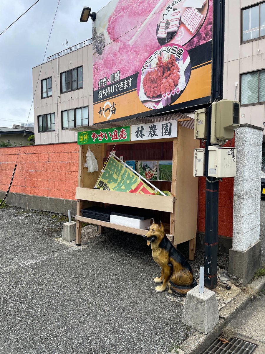 akitade_'s tweet photo. 観察No.10

お昼時に秋田市役所の近くを歩いていたら、無人販売所がありました。
よく見ると、置物の犬が…
昭和世代の僕としてはよく見慣れたものですが、犬が飼いたくても飼えない人のため？
番犬代わり？
ちゃんとお金払ってね的な？
うーん不思議。

#国語算数理科デザイン
#観トレ https://t.co/gGQ2G2SX6N